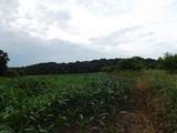 51+/- Acres Cth 0 Road - Photo 13