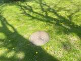 N10801 Elmwood Island - Photo 42