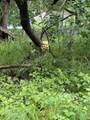 999 Larson Street - Photo 6