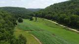 40 Acre Lot Walnut Lane - Photo 12