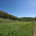 40 Acre Lot Walnut Lane - Photo 2