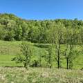 40 Acre Lot Walnut Lane - Photo 5
