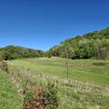 40 Acre Lot Walnut Lane - Photo 6