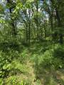 68+/- Acres Highway 39 - Photo 27
