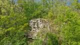  19.37 Acres Greenwald Road - Photo 13