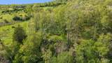 19.37 Acres Greenwald Road - Photo 7