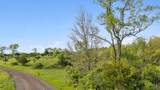  19.37 Acres Greenwald Road - Photo 8