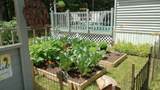 E2865 Branch Trail - Photo 21