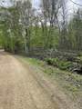 2.8 Ac Deer Run Road - Photo 10