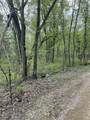 2.8 Ac Deer Run Road - Photo 11