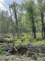 2.8 Ac Deer Run Road - Photo 13