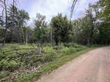 2.8 Ac Deer Run Road - Photo 23