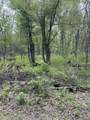 2.8 Ac Deer Run Road - Photo 8