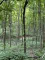 86 Ac County Road S - Photo 18