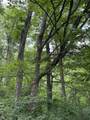 86 Ac County Road S - Photo 33