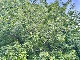S6998 Missel Road - Photo 35