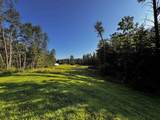 3.17 AC Bass Lake Lane - Photo 8