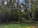 3.17 AC Bass Lake Lane - Photo 9