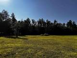 3.17 AC Bass Lake Lane - Photo 11