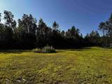 3.17 AC Bass Lake Lane - Photo 3