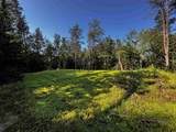 3.17 AC Bass Lake Lane - Photo 7
