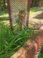 N5204 Meadow View Circle - Photo 38
