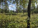 491 St Andrews Trail - Photo 14