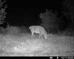 Lot 0 Highway 73 - Photo 26