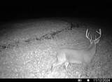 Lot 0 Highway 73 - Photo 27