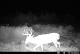 Lot 0 Highway 73 - Photo 28