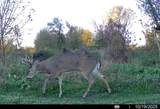 Lot 0 Highway 73 - Photo 29