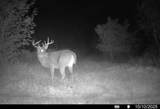 Lot 0 Highway 73 - Photo 30