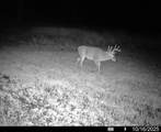 Lot 0 Highway 73 - Photo 34