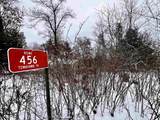 456 Tomahawk Trail - Photo 10
