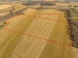 Lot 17 19.14 Acres Hefty Road - Photo 10