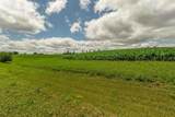 Lot 6 11.5 Acres Hefty Road - Photo 16