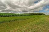 Lot 6 11.5 Acres Hefty Road - Photo 17