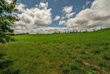 Lot 7 9.72 Acres Hefty Road - Photo 11