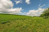Lot 7 9.72 Acres Hefty Road - Photo 12