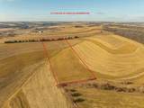 Lot 7 9.72 Acres Hefty Road - Photo 14