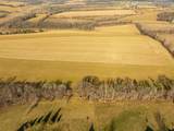 Lot 18 18.0 Acres Hefty Road - Photo 11