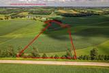 Lot 8 11.65 Acres Hefty Road - Photo 1