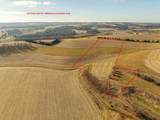 Lot 8 11.65 Acres Hefty Road - Photo 6