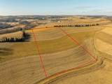 Lot 9 9.69 Acres Hefty Road - Photo 15