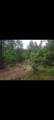  Gale Avenue - Photo 11
