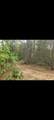  Gale Avenue - Photo 12