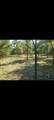  Gale Avenue - Photo 13