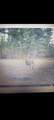  Gale Avenue - Photo 15
