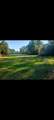  Gale Avenue - Photo 17