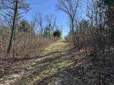  Gale Avenue - Photo 4